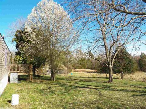 578 Banner Loop, Concord, AR 72523 photo 6