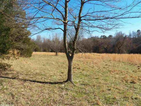 578 Banner Loop, Concord, AR 72523 photo 36