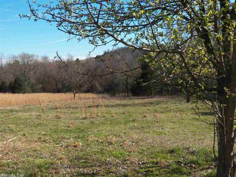 578 Banner Loop, Concord, AR 72523 photo 29