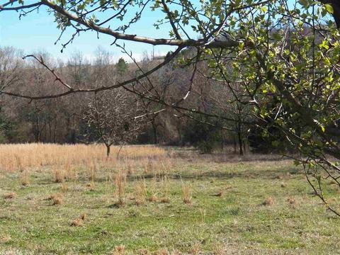 578 Banner Loop, Concord, AR 72523 photo 32