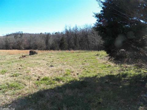 578 Banner Loop, Concord, AR 72523 photo 27