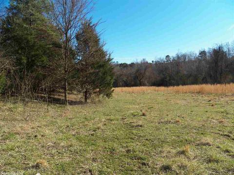 578 Banner Loop, Concord, AR 72523 photo 35