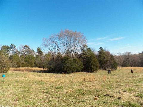 578 Banner Loop, Concord, AR 72523 photo 26