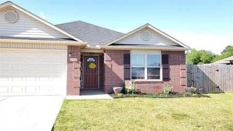 229 Terrace Dr, Beebe, AR 72012 photo 3