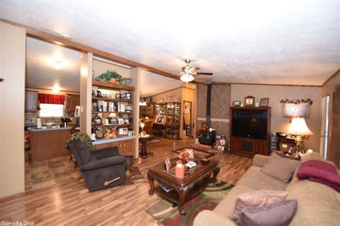 1749 Shake Rag Rd, Clinton, AR 72031 photo 3