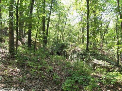 1749 Shake Rag Rd, Clinton, AR 72031 photo 36