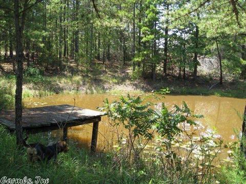1749 Shake Rag Rd, Clinton, AR 72031 photo 35