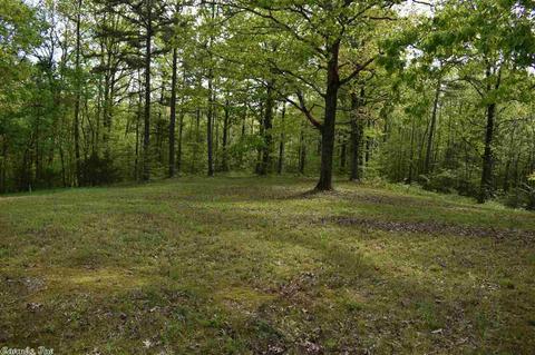 480 Wheeler Ln, Mount Ida, AR 71957 photo 38