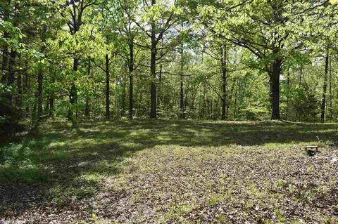 480 Wheeler Ln, Mount Ida, AR 71957 photo 34