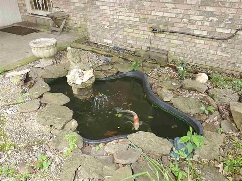 706 N Hickory St, Beebe, AR 72012 photo 28