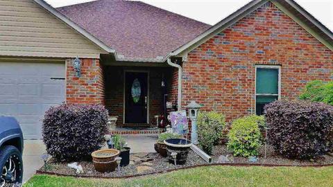 25 Mitchell Cir, Greenbrier, AR 72058 photo 40