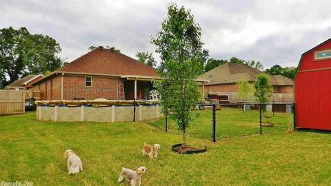 25 Mitchell Cir, Greenbrier, AR 72058 photo 34