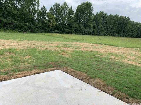 265 Covey Ln, Austin, AR 72007 photo 18