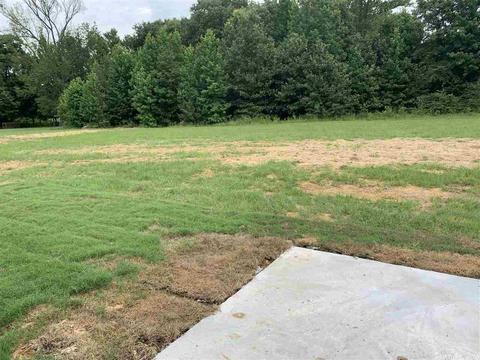 265 Covey Ln, Austin, AR 72007 photo 17