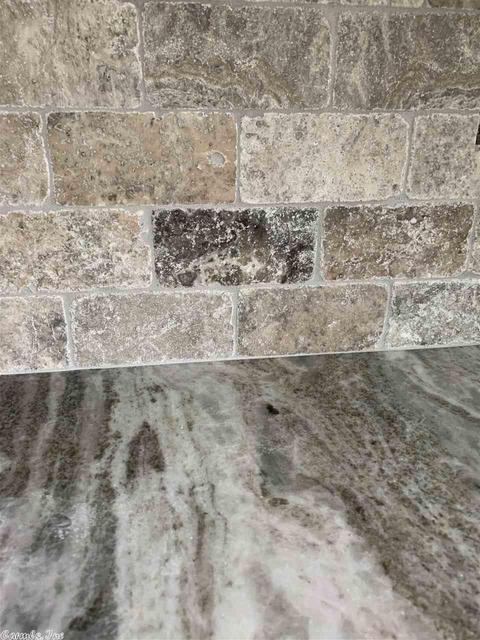 295 Covey Ln, Austin, AR 72007 photo 5