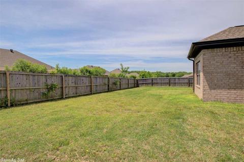 723 Mango Loop, Austin, AR 72007 photo 36