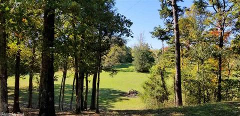 154 Earth Ln, Mena, AR 71953 photo 35