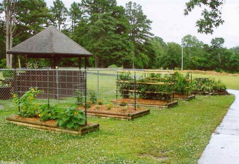154 Earth Ln, Mena, AR 71953 photo 11