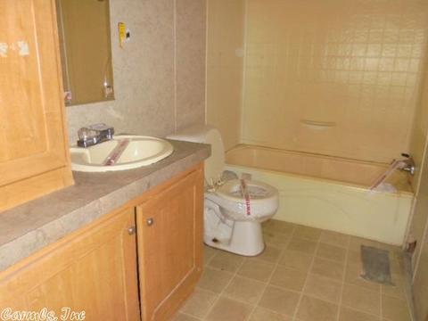 115 Dill Rd, Drasco, AR 72530 photo 8