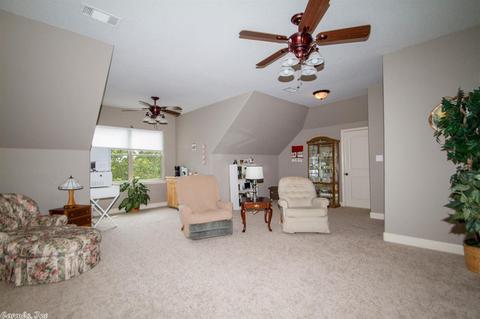 335 Eagleview Rd, Austin, AR 72007 photo 29
