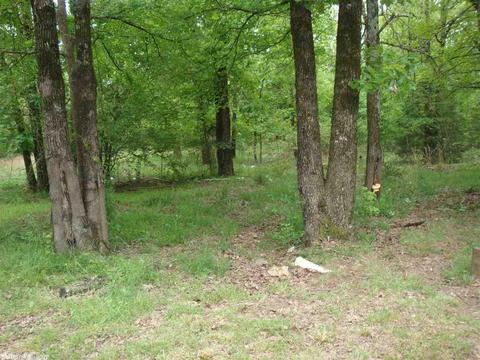 653 Louie Pruitt Rd, Beebe, AR 72012 photo 9