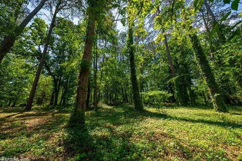 14 Justice Ln, Conway, AR 72032 photo 37