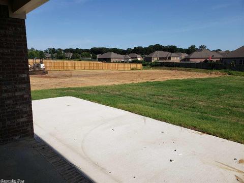 184 Hudson Branch Dr, Austin, AR 72007 photo 28