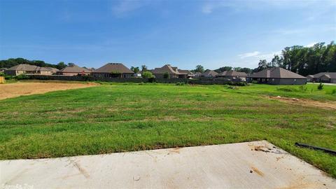 184 Hudson Branch Dr, Austin, AR 72007 photo 31