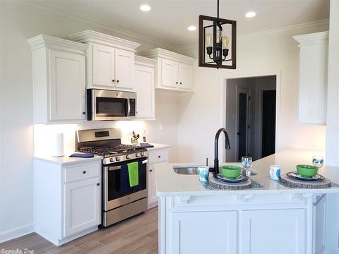 184 Hudson Branch Dr, Austin, AR 72007 photo 7