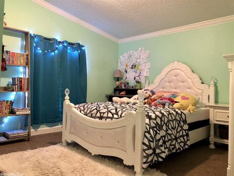 6203 Lilac Dr, Mabelvale, AR 72103 photo 19