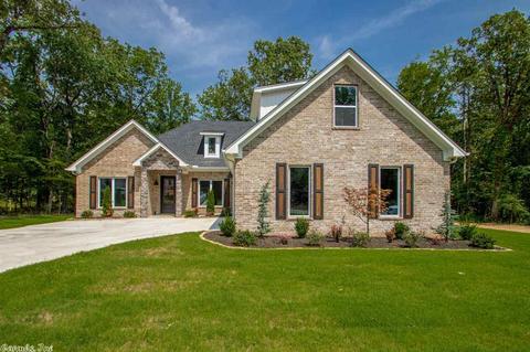 1008 Avilla Cv, Alexander, AR 72002 photo 2