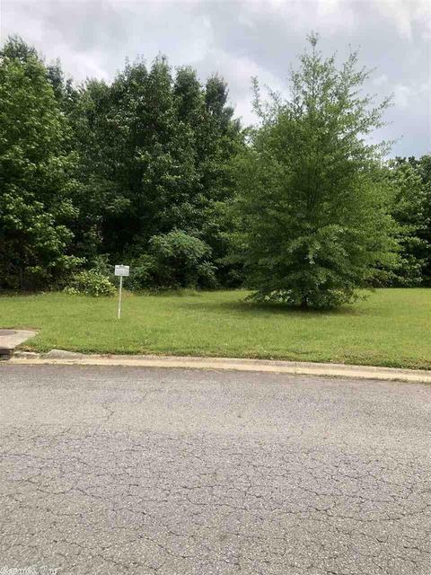 4460 Graham, Conway, AR 72034 photo 28