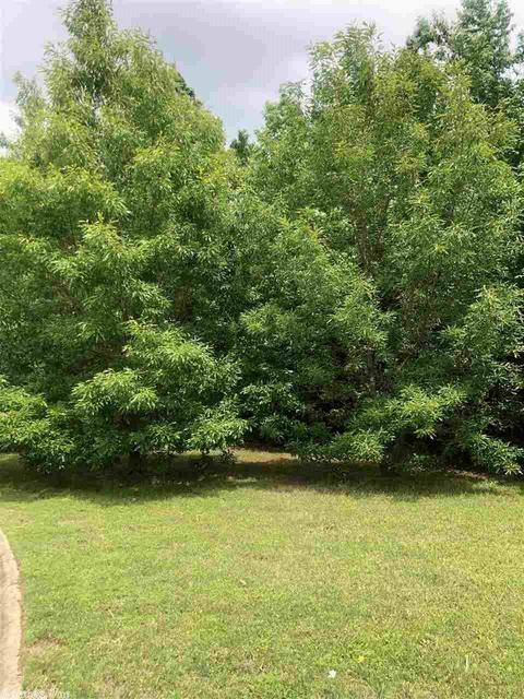 4460 Graham, Conway, AR 72034 photo 31