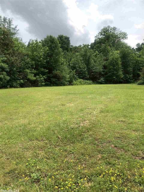 4460 Graham, Conway, AR 72034 photo 30