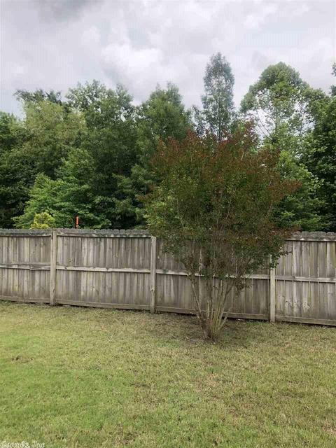 4460 Graham, Conway, AR 72034 photo 24