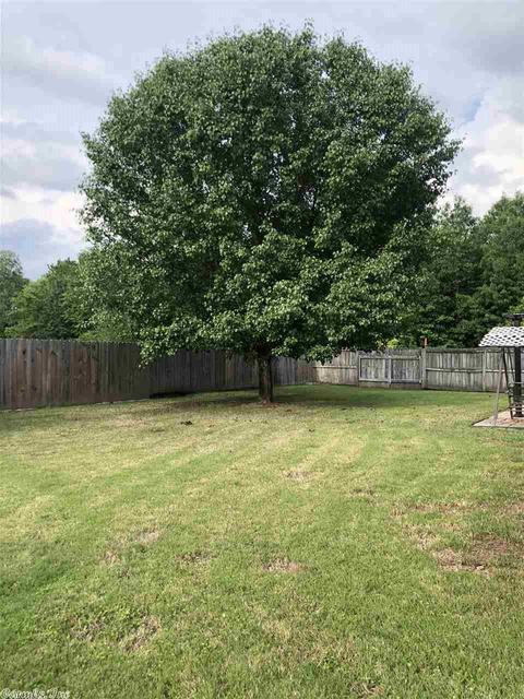 4460 Graham, Conway, AR 72034 photo 23