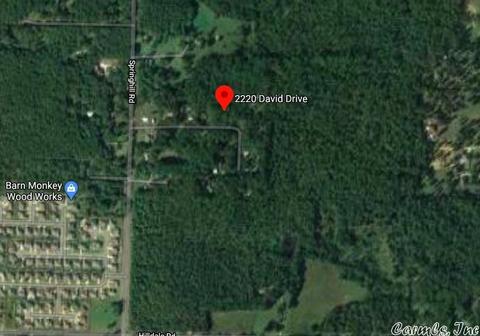 2220 David, Alexander, AR 72002 photo 1