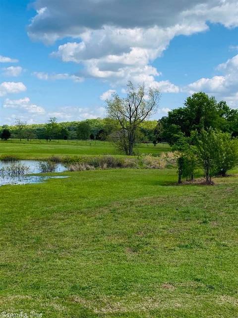6 Needs Creek Ln, Greenbrier, AR 72058 photo 33