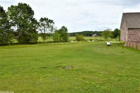 6 Needs Creek Ln, Greenbrier, AR 72058 photo 36