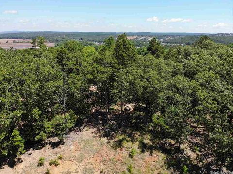 4 Eagle Cv, Maumelle, AR 72113 photo 4