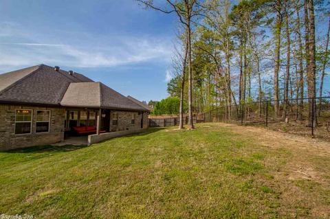 8307 Greystone Cv, Alexander, AR 72002 photo 25