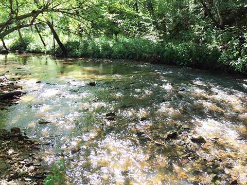 3275 Hwy 270, Mount Ida, AR 71957 photo 25