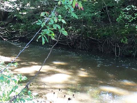 3275 Hwy 270, Mount Ida, AR 71957 photo 22
