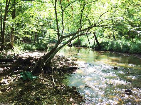 3275 Hwy 270, Mount Ida, AR 71957 photo 24