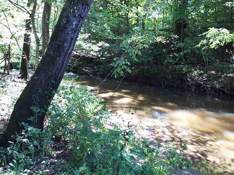 3275 Hwy 270, Mount Ida, AR 71957 photo 23