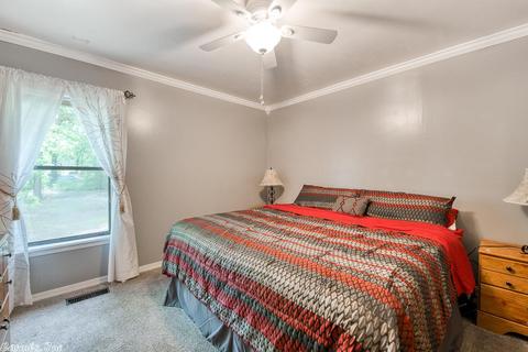 30 Annette Ln, Conway, AR 72032 photo 18