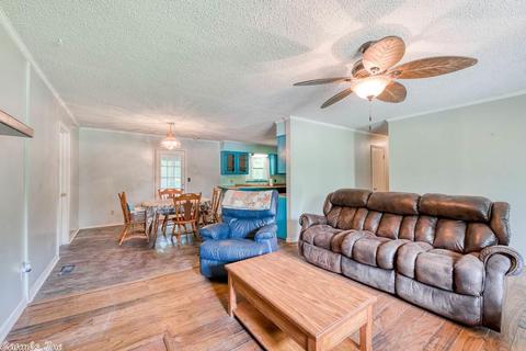 30 Annette Ln, Conway, AR 72032 photo 5