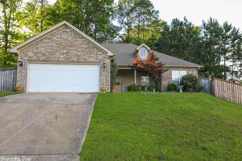 2910 Eagle Run Dr, Benton, AR 72015 photo 1