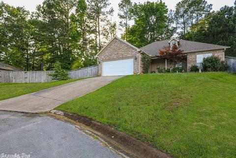2910 Eagle Run Dr, Benton, AR 72015 photo 3