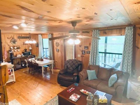 467 Ruddells Rd, Mountain View, AR 72560 photo 13